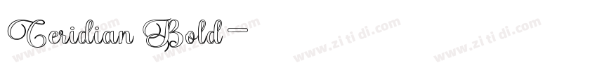 Ceridian Bold字体转换